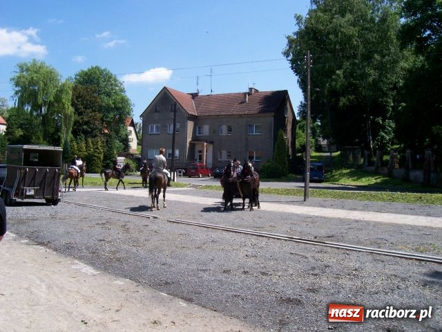 Zdjęcie w galerii na portalu naszraciborz.pl: Majówka konna w Krowiarkach wiadomości z regionu