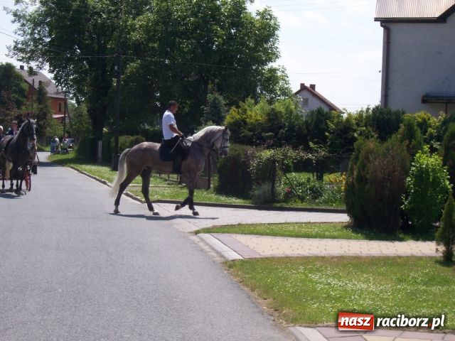 Zdjęcie w galerii na portalu naszraciborz.pl: Majówka konna w Krowiarkach wiadomości z regionu