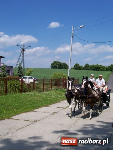 Zdjęcie w galerii na portalu naszraciborz.pl: Majówka konna w Krowiarkach wiadomości z regionu