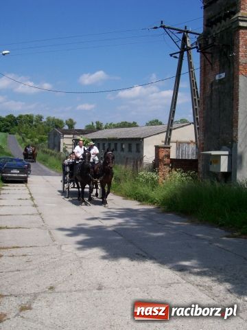 Zdjęcie w galerii na portalu naszraciborz.pl: Majówka konna w Krowiarkach wiadomości z regionu
