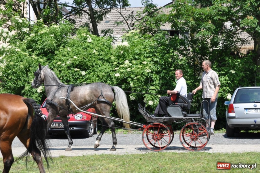 Zdjęcie w galerii na portalu naszraciborz.pl: Majówka konna w Krowiarkach wiadomości z regionu