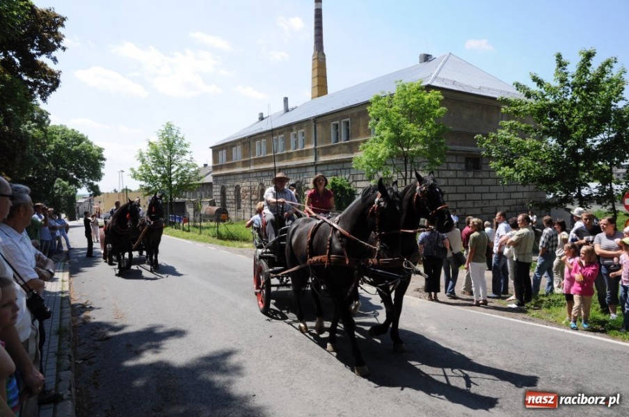 Zdjęcie w galerii na portalu naszraciborz.pl: Majówka konna w Krowiarkach wiadomości z regionu