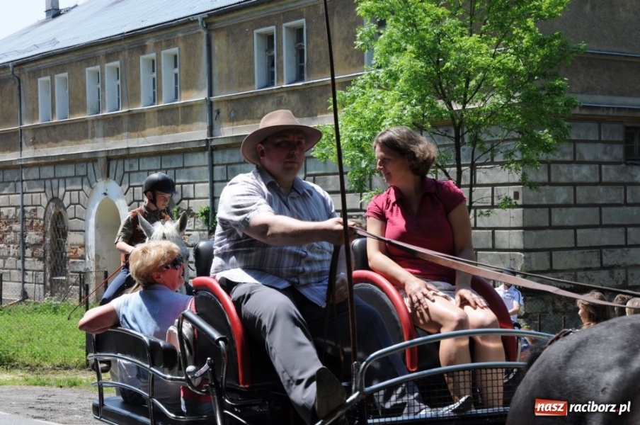 Zdjęcie w galerii na portalu naszraciborz.pl: Majówka konna w Krowiarkach wiadomości z regionu