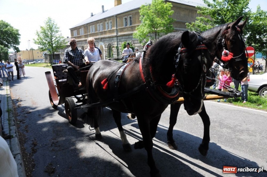 Zdjęcie w galerii na portalu naszraciborz.pl: Majówka konna w Krowiarkach wiadomości z regionu