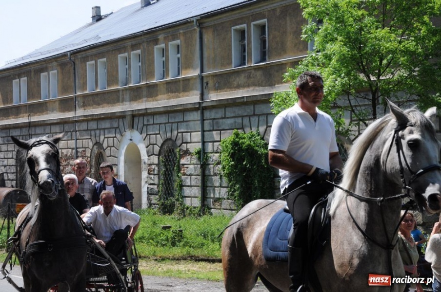 Zdjęcie w galerii na portalu naszraciborz.pl: Majówka konna w Krowiarkach wiadomości z regionu
