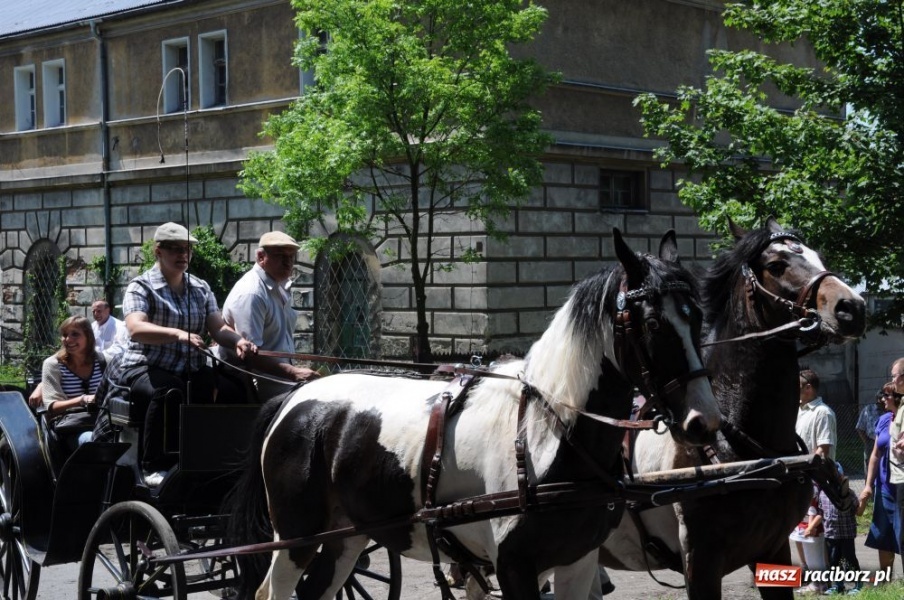 Zdjęcie w galerii na portalu naszraciborz.pl: Majówka konna w Krowiarkach wiadomości z regionu