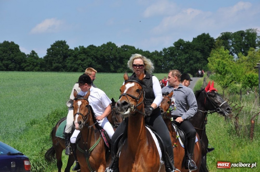 Zdjęcie w galerii na portalu naszraciborz.pl: Majówka konna w Krowiarkach wiadomości z regionu