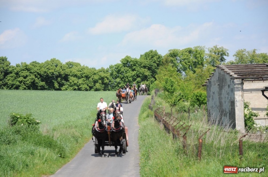 Zdjęcie w galerii na portalu naszraciborz.pl: Majówka konna w Krowiarkach wiadomości z regionu