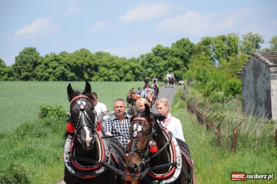 Zdjęcie w galerii na portalu naszraciborz.pl: Majówka konna w Krowiarkach wiadomości z regionu