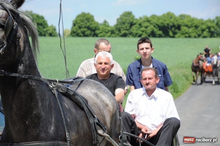 Zdjęcie w galerii na portalu naszraciborz.pl: Majówka konna w Krowiarkach wiadomości z regionu