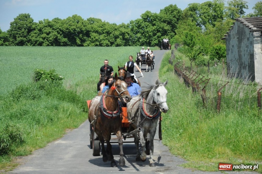 Zdjęcie w galerii na portalu naszraciborz.pl: Majówka konna w Krowiarkach wiadomości z regionu
