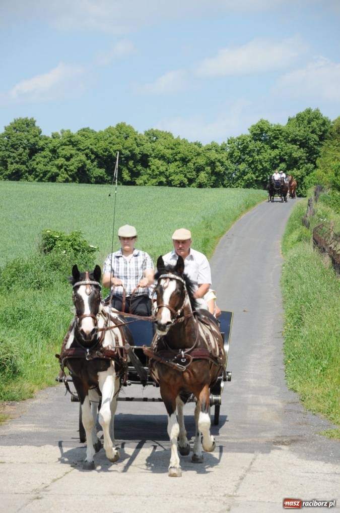 Zdjęcie w galerii na portalu naszraciborz.pl: Majówka konna w Krowiarkach wiadomości z regionu