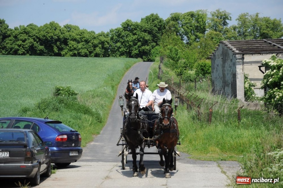 Zdjęcie w galerii na portalu naszraciborz.pl: Majówka konna w Krowiarkach wiadomości z regionu