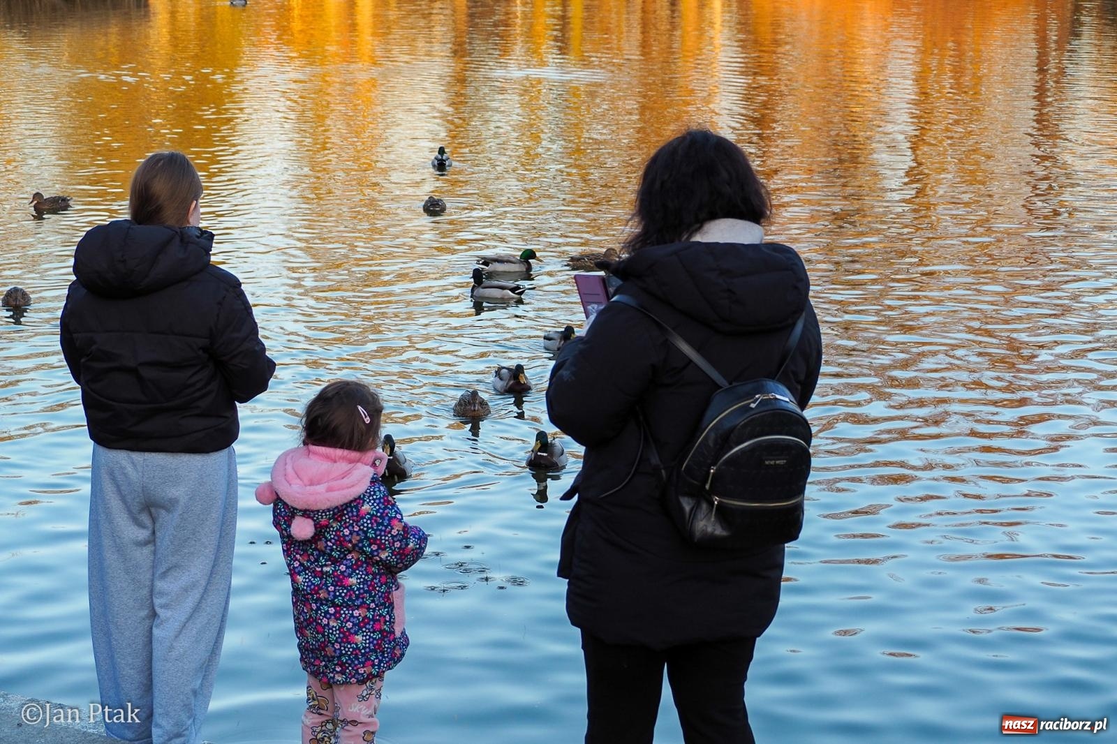 Zdjęcie w galerii na portalu naszraciborz.pl: Działania WFOŚiGW w Katowicach: podsumowanie 2025 roku, zmiany w Czystym Powietrzu, EKO-WYDARZENIA 2026 i nowe inwestycje w bezpieczeństwo środowiskowe wiadomości z regionu