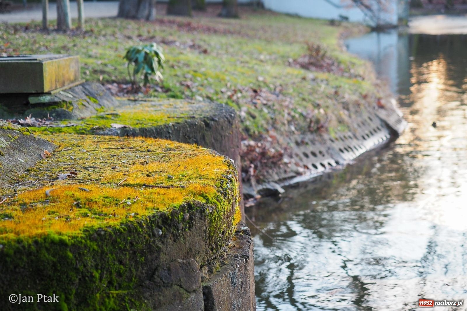 Zdjęcie w galerii na portalu naszraciborz.pl: Działania WFOŚiGW w Katowicach: podsumowanie 2025 roku, zmiany w Czystym Powietrzu, EKO-WYDARZENIA 2026 i nowe inwestycje w bezpieczeństwo środowiskowe wiadomości z regionu