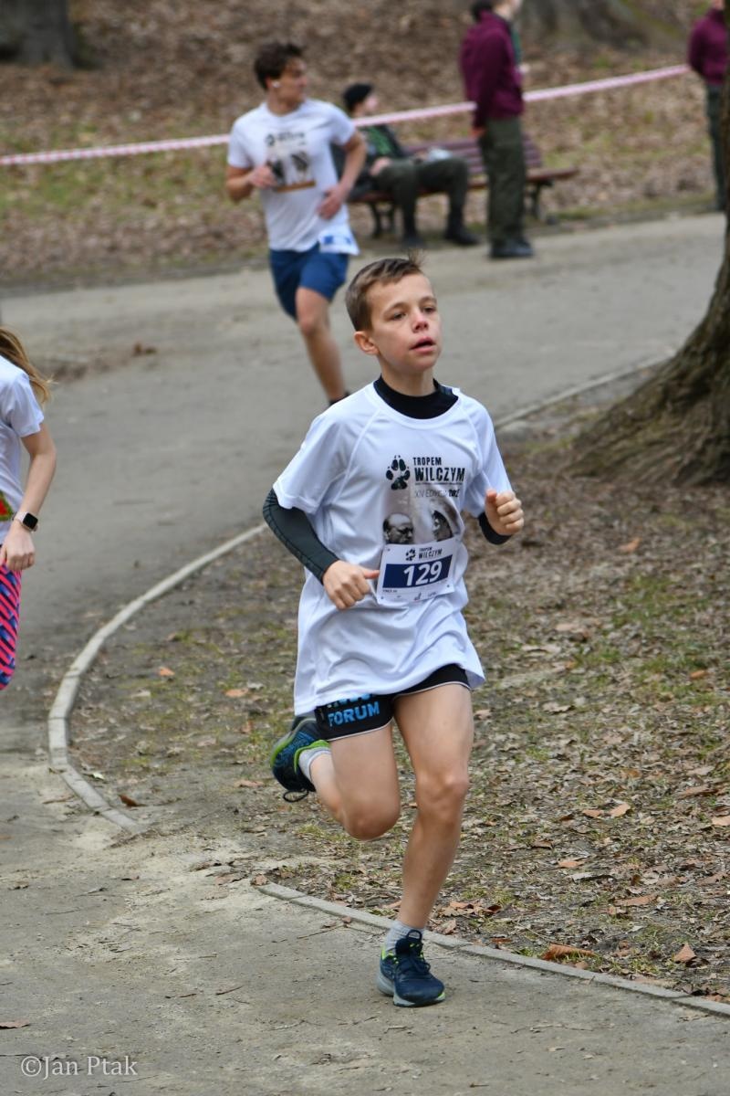 Zdjęcie w galerii na portalu naszraciborz.pl: Blisko 100 uczestników na starcie XIV Biegu Tropem Wilczym w Raciborzu wiadomości z regionu