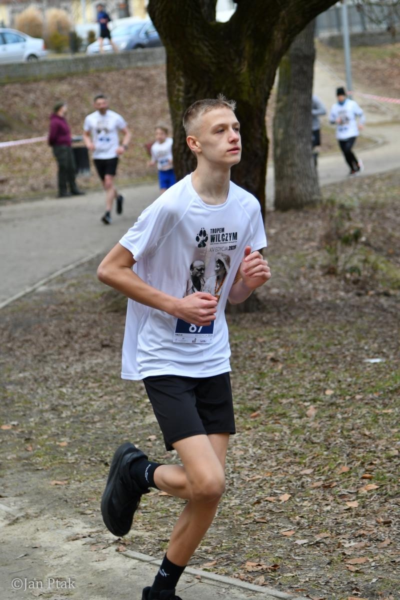 Zdjęcie w galerii na portalu naszraciborz.pl: Blisko 100 uczestników na starcie XIV Biegu Tropem Wilczym w Raciborzu wiadomości z regionu