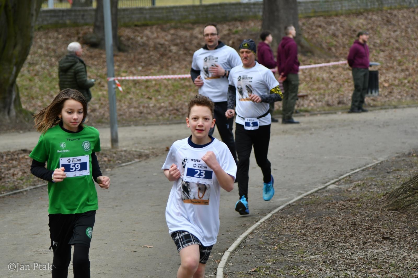 Zdjęcie w galerii na portalu naszraciborz.pl: Blisko 100 uczestników na starcie XIV Biegu Tropem Wilczym w Raciborzu wiadomości z regionu