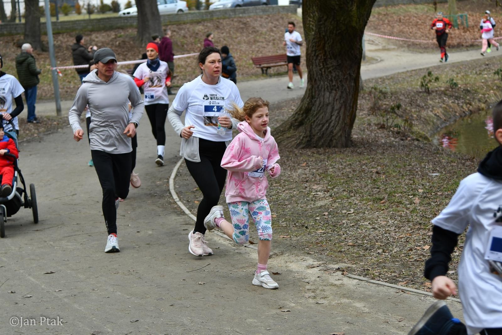 Zdjęcie w galerii na portalu naszraciborz.pl: Blisko 100 uczestników na starcie XIV Biegu Tropem Wilczym w Raciborzu wiadomości z regionu