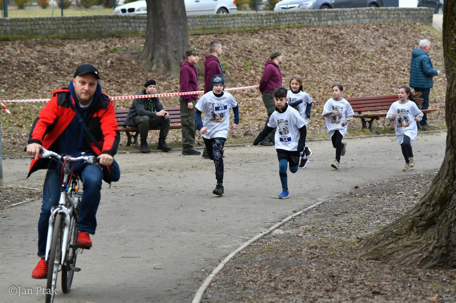 Zdjęcie w galerii na portalu naszraciborz.pl: Blisko 100 uczestników na starcie XIV Biegu Tropem Wilczym w Raciborzu wiadomości z regionu