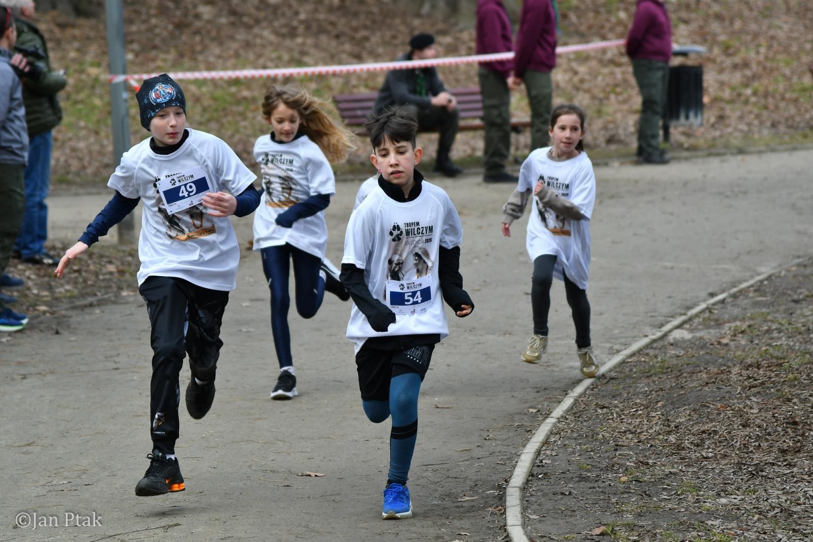 Zdjęcie w galerii na portalu naszraciborz.pl: Blisko 100 uczestników na starcie XIV Biegu Tropem Wilczym w Raciborzu wiadomości z regionu