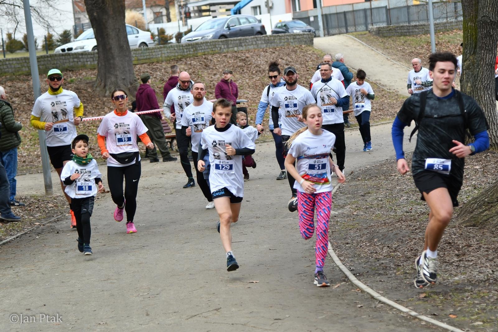 Zdjęcie w galerii na portalu naszraciborz.pl: Blisko 100 uczestników na starcie XIV Biegu Tropem Wilczym w Raciborzu wiadomości z regionu