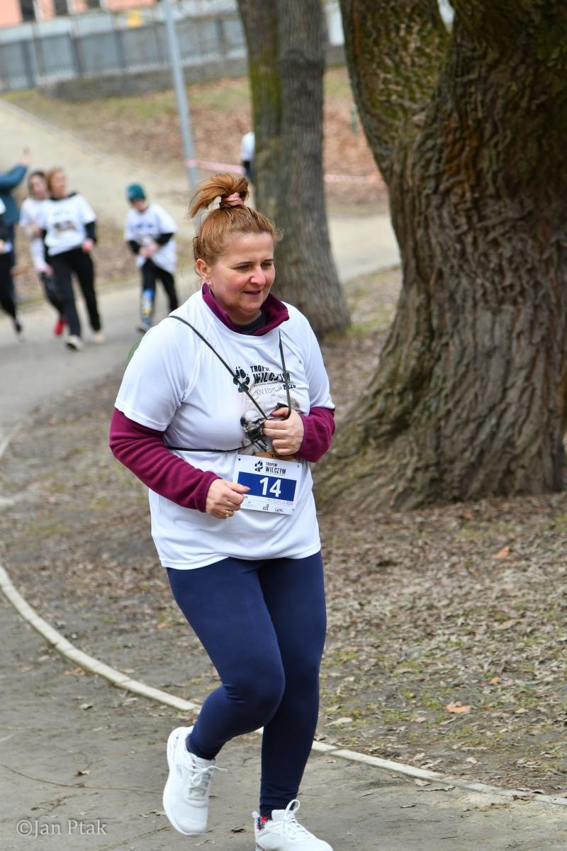 Zdjęcie w galerii na portalu naszraciborz.pl: Blisko 100 uczestników na starcie XIV Biegu Tropem Wilczym w Raciborzu wiadomości z regionu