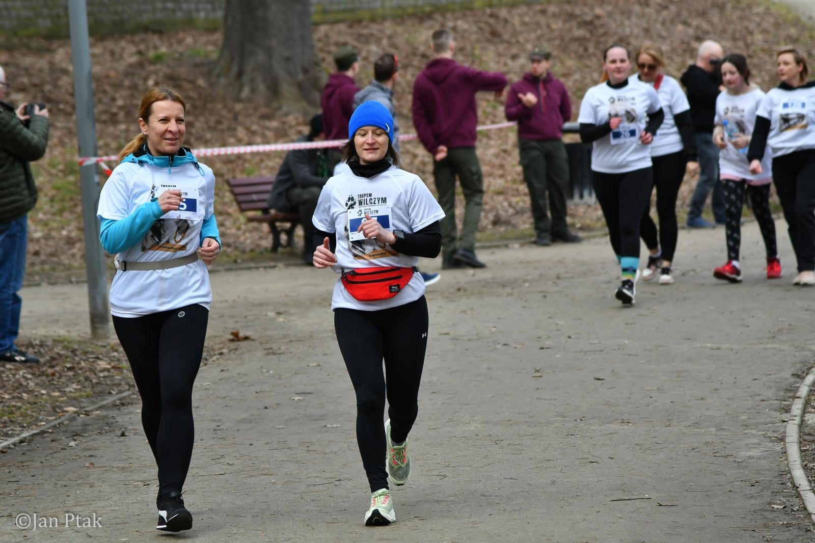 Zdjęcie w galerii na portalu naszraciborz.pl: Blisko 100 uczestników na starcie XIV Biegu Tropem Wilczym w Raciborzu wiadomości z regionu