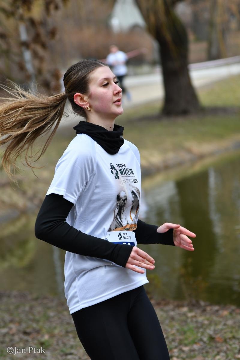 Zdjęcie w galerii na portalu naszraciborz.pl: Blisko 100 uczestników na starcie XIV Biegu Tropem Wilczym w Raciborzu wiadomości z regionu