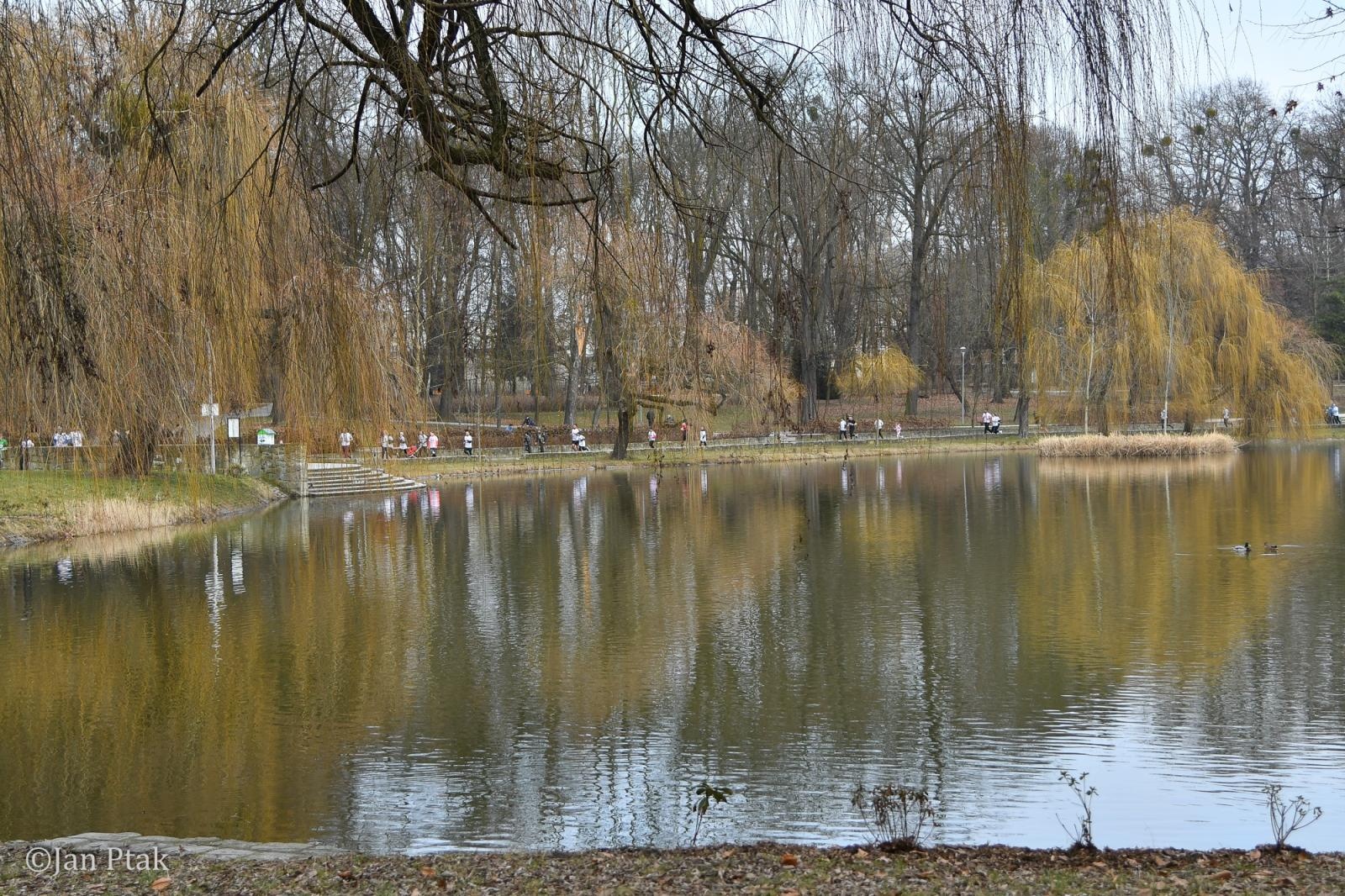 Zdjęcie w galerii na portalu naszraciborz.pl: Blisko 100 uczestników na starcie XIV Biegu Tropem Wilczym w Raciborzu wiadomości z regionu