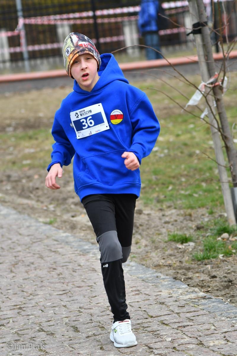 Zdjęcie w galerii na portalu naszraciborz.pl: Blisko 100 uczestników na starcie XIV Biegu Tropem Wilczym w Raciborzu wiadomości z regionu