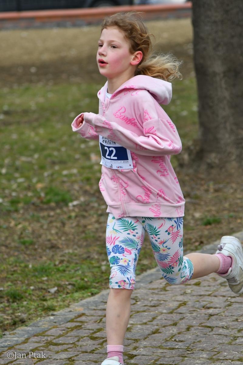 Zdjęcie w galerii na portalu naszraciborz.pl: Blisko 100 uczestników na starcie XIV Biegu Tropem Wilczym w Raciborzu wiadomości z regionu