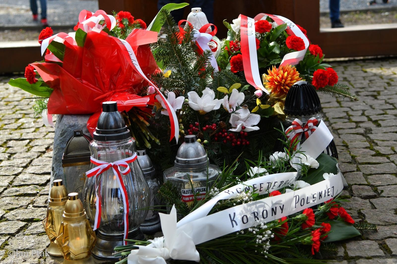 Zdjęcie w galerii na portalu naszraciborz.pl: Blisko 100 uczestników na starcie XIV Biegu Tropem Wilczym w Raciborzu wiadomości z regionu