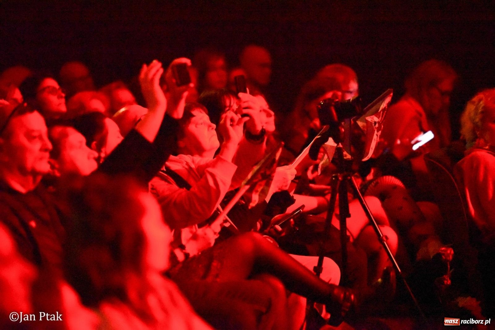 Zdjęcie w galerii na portalu naszraciborz.pl: Elvis ożył w Raciborzu na Dzień Kobiet i rozdawał róże. Fabian Besta w RCK wiadomości z regionu