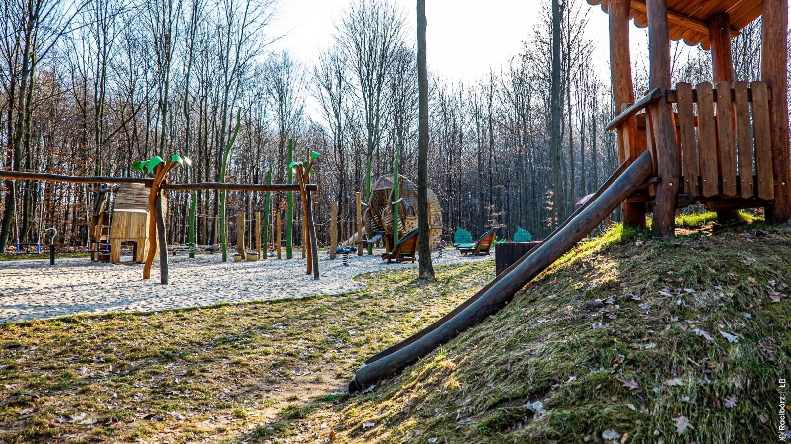 Zdjęcie w galerii na portalu naszraciborz.pl: Wiosna w Zagrodzie Żubrów i wyjątkowy leśny plac zabaw. Ratusz zachęca do odwiedzin wiadomości z regionu