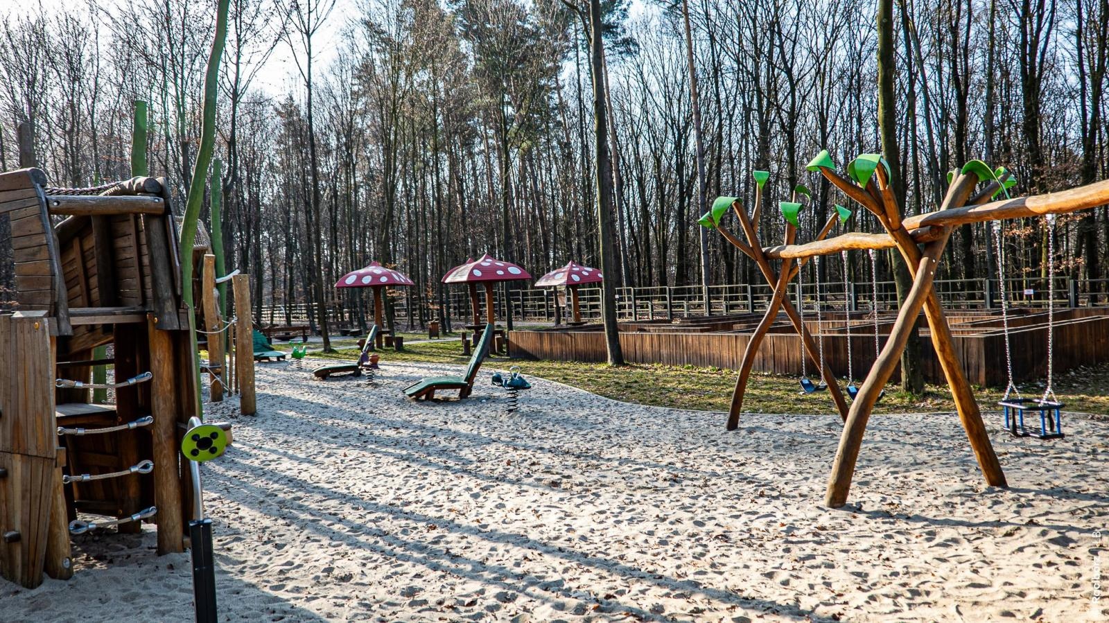 Zdjęcie w galerii na portalu naszraciborz.pl: Wiosna w Zagrodzie Żubrów i wyjątkowy leśny plac zabaw. Ratusz zachęca do odwiedzin wiadomości z regionu