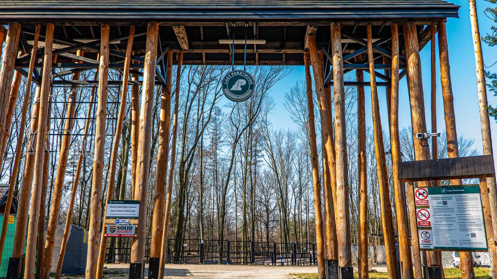 Zdjęcie w galerii na portalu naszraciborz.pl: Wiosna w Zagrodzie Żubrów i wyjątkowy leśny plac zabaw. Ratusz zachęca do odwiedzin wiadomości z regionu