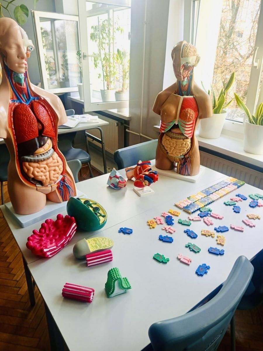 Zdjęcie w galerii na portalu naszraciborz.pl: Dni Otwarte w Szkole Podstawowej nr 13 wiadomości z regionu