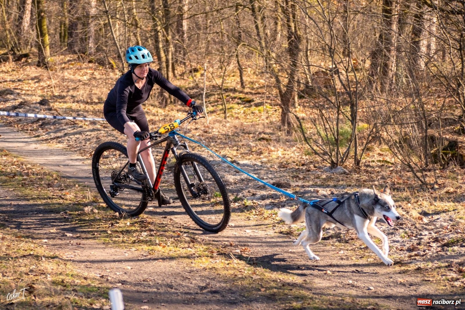 Zdjęcie w galerii na portalu naszraciborz.pl: Dog Adventure Sprint Race w Kuźni Raciborskiej. Emocjonujący pierwszy dzień wyścigów psich zaprzęgów [FOTO] wiadomości z regionu