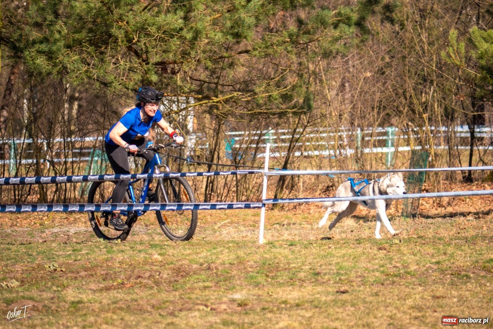 Zdjęcie w galerii na portalu naszraciborz.pl: Dog Adventure Sprint Race w Kuźni Raciborskiej. Emocjonujący pierwszy dzień wyścigów psich zaprzęgów [FOTO] wiadomości z regionu