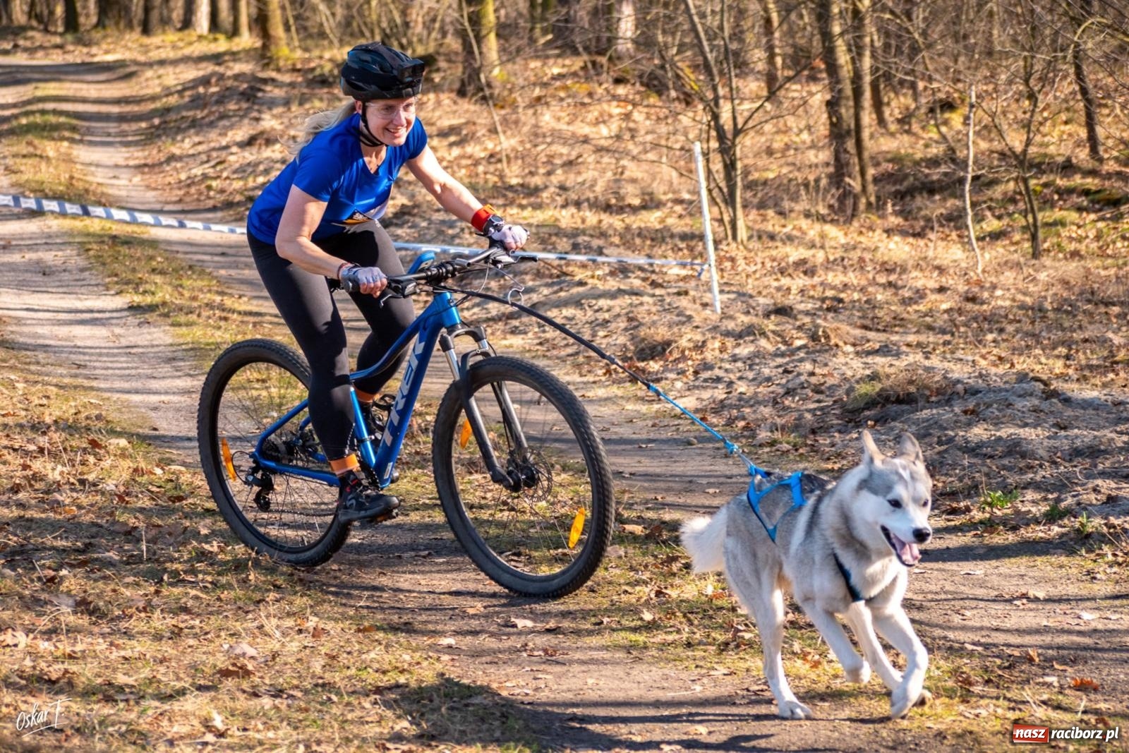 Zdjęcie w galerii na portalu naszraciborz.pl: Dog Adventure Sprint Race w Kuźni Raciborskiej. Emocjonujący pierwszy dzień wyścigów psich zaprzęgów [FOTO] wiadomości z regionu