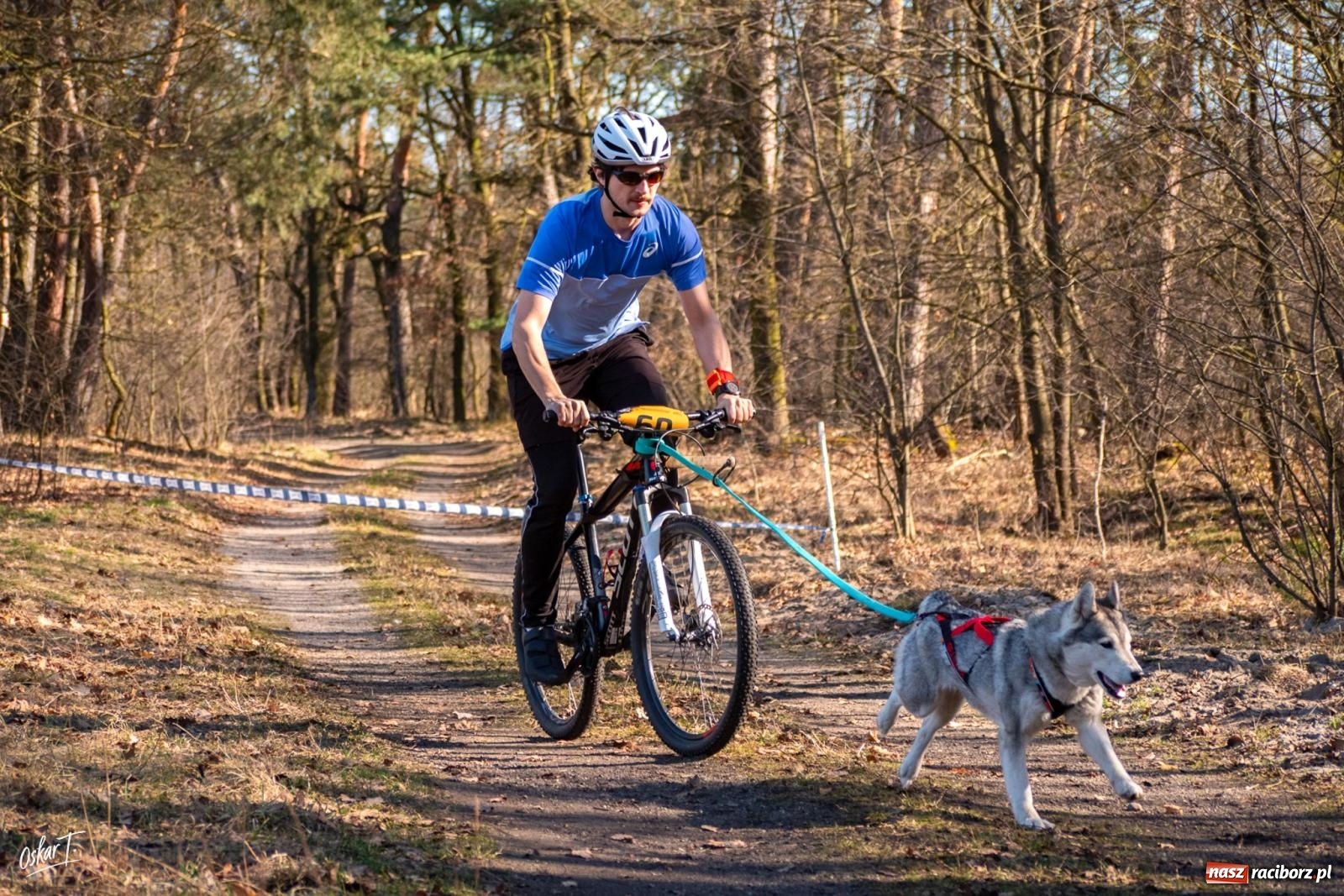 Zdjęcie w galerii na portalu naszraciborz.pl: Dog Adventure Sprint Race w Kuźni Raciborskiej. Emocjonujący pierwszy dzień wyścigów psich zaprzęgów [FOTO] wiadomości z regionu