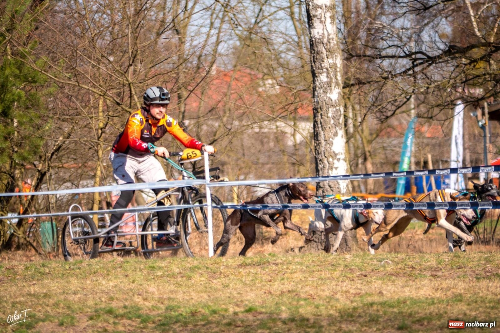 Zdjęcie w galerii na portalu naszraciborz.pl: Dog Adventure Sprint Race w Kuźni Raciborskiej. Emocjonujący pierwszy dzień wyścigów psich zaprzęgów [FOTO] wiadomości z regionu