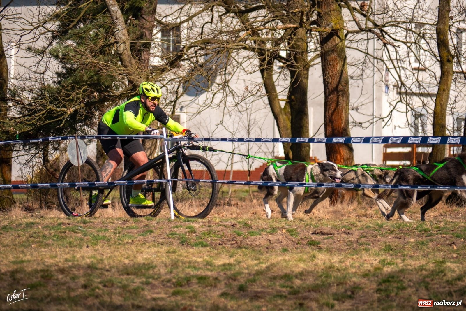 Zdjęcie w galerii na portalu naszraciborz.pl: Dog Adventure Sprint Race w Kuźni Raciborskiej. Emocjonujący pierwszy dzień wyścigów psich zaprzęgów [FOTO] wiadomości z regionu