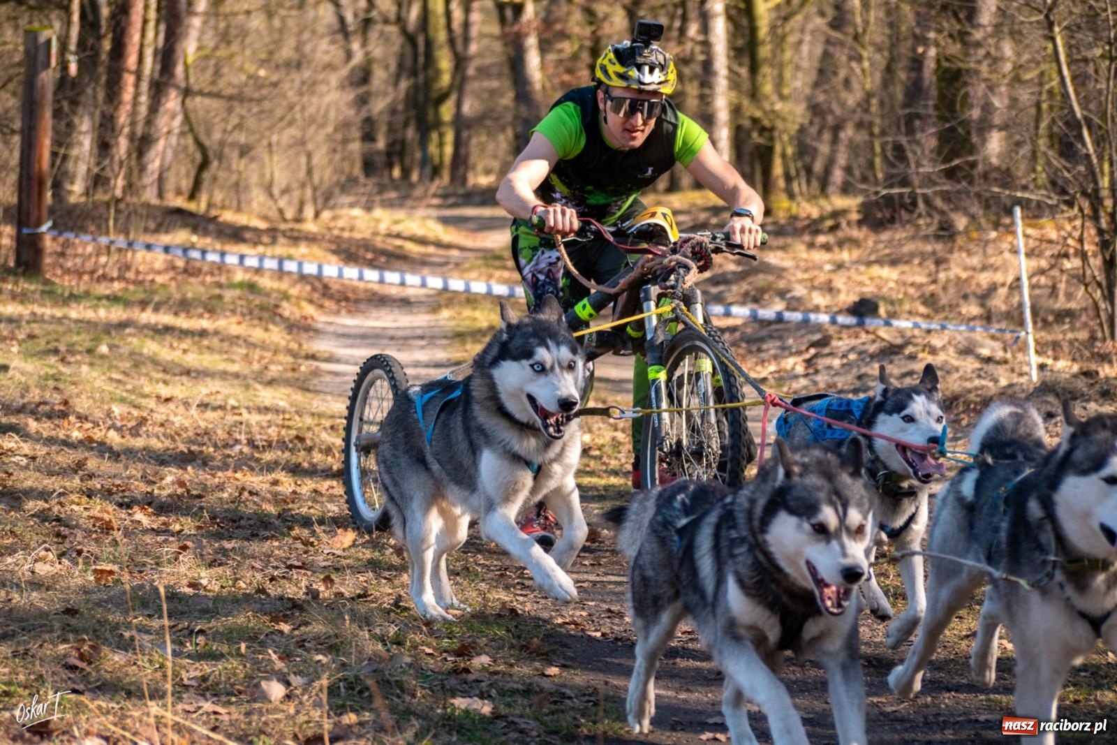 Zdjęcie w galerii na portalu naszraciborz.pl: Dog Adventure Sprint Race w Kuźni Raciborskiej. Emocjonujący pierwszy dzień wyścigów psich zaprzęgów [FOTO] wiadomości z regionu