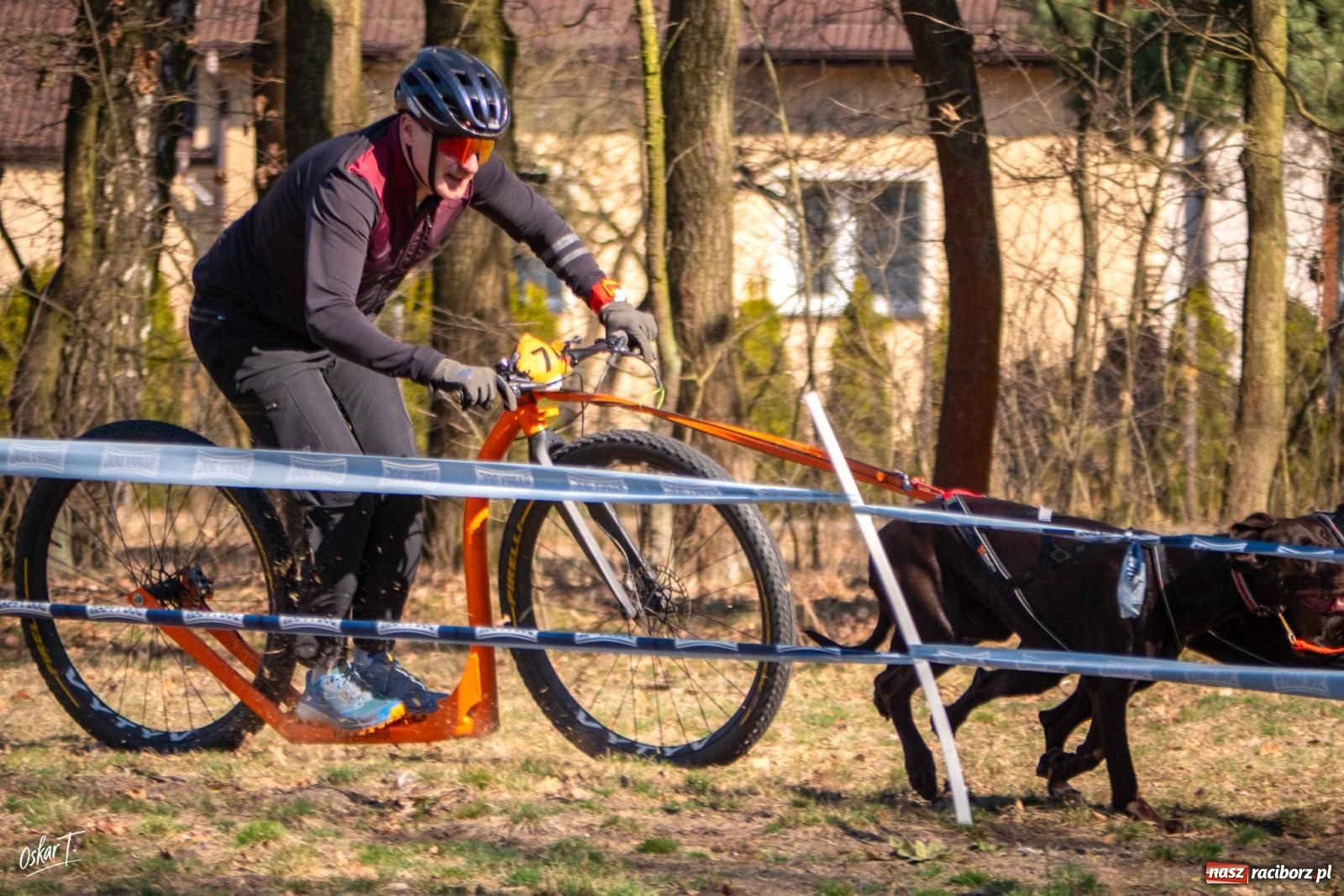 Zdjęcie w galerii na portalu naszraciborz.pl: Dog Adventure Sprint Race w Kuźni Raciborskiej. Emocjonujący pierwszy dzień wyścigów psich zaprzęgów [FOTO] wiadomości z regionu