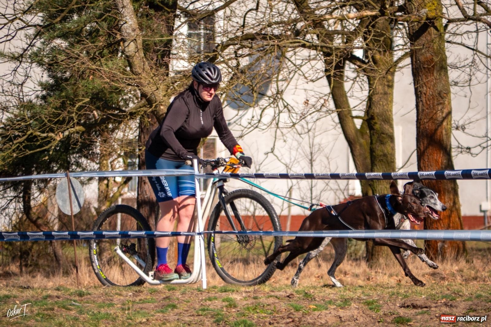 Zdjęcie w galerii na portalu naszraciborz.pl: Dog Adventure Sprint Race w Kuźni Raciborskiej. Emocjonujący pierwszy dzień wyścigów psich zaprzęgów [FOTO] wiadomości z regionu