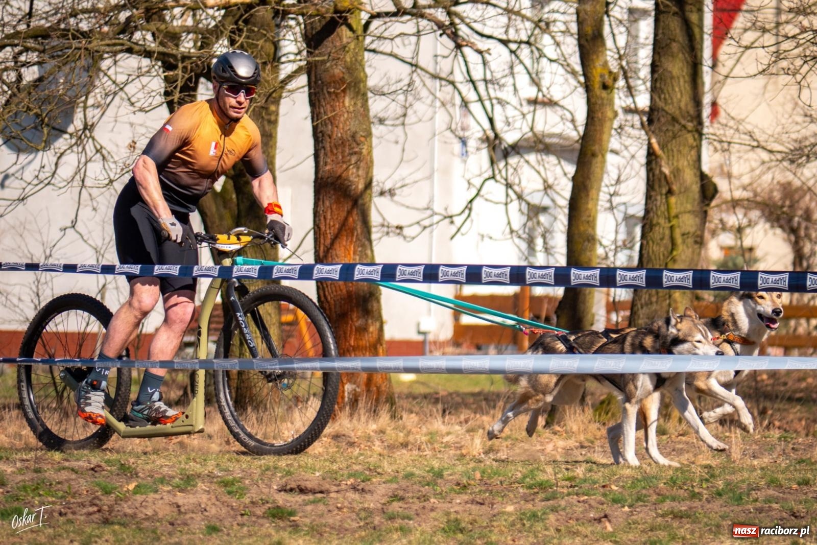 Zdjęcie w galerii na portalu naszraciborz.pl: Dog Adventure Sprint Race w Kuźni Raciborskiej. Emocjonujący pierwszy dzień wyścigów psich zaprzęgów [FOTO] wiadomości z regionu