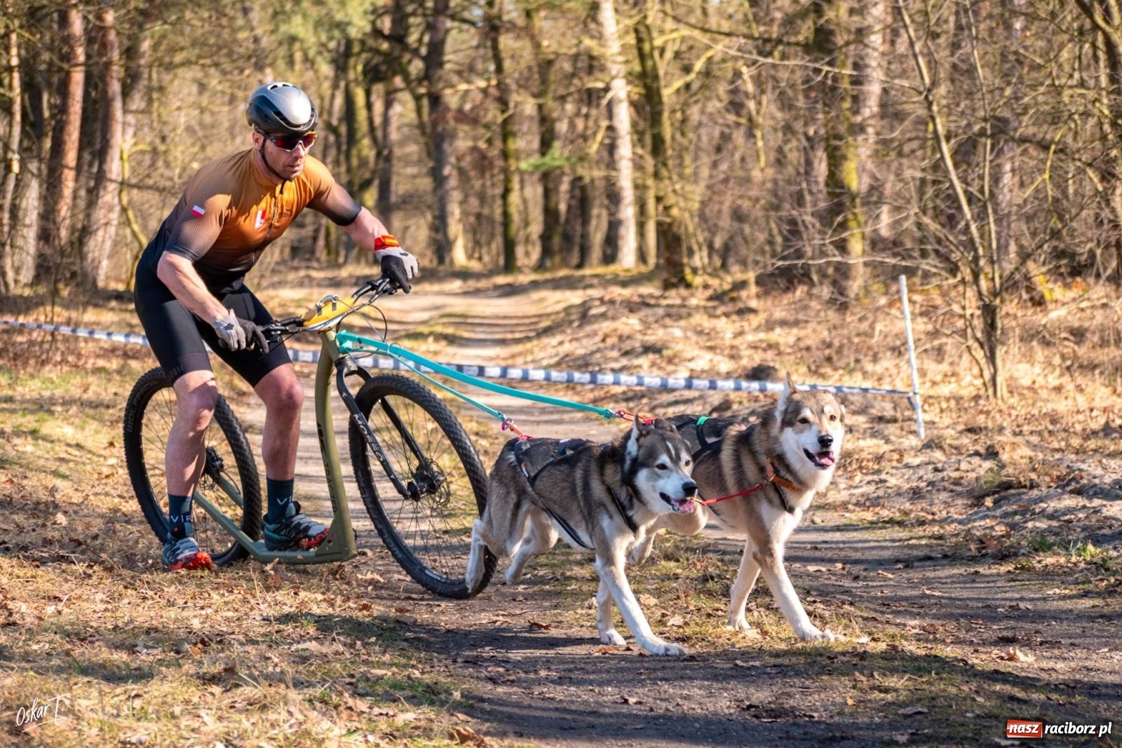 Zdjęcie w galerii na portalu naszraciborz.pl: Dog Adventure Sprint Race w Kuźni Raciborskiej. Emocjonujący pierwszy dzień wyścigów psich zaprzęgów [FOTO] wiadomości z regionu