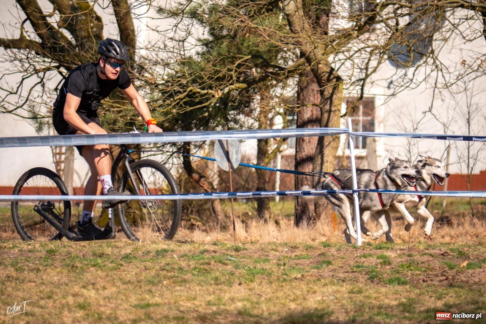 Zdjęcie w galerii na portalu naszraciborz.pl: Dog Adventure Sprint Race w Kuźni Raciborskiej. Emocjonujący pierwszy dzień wyścigów psich zaprzęgów [FOTO] wiadomości z regionu
